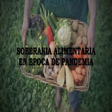 Soberania alimentaria