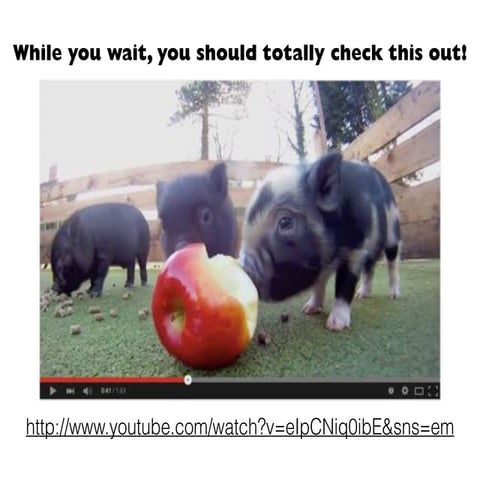 “What Vegans Eat” for Halifax County-South Boston Public Library—Mar 2015