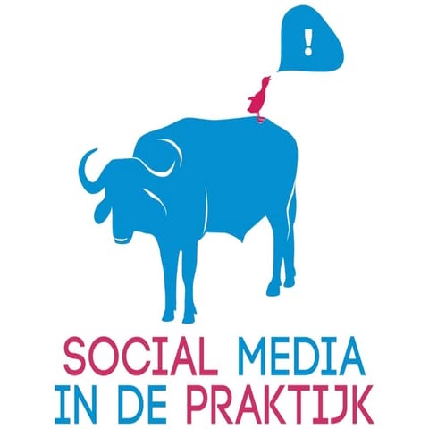 Social Media Praktijk 2011.