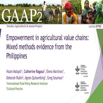 Empowerment in agricultural value chains: Mixed methods evidence from the Phi...