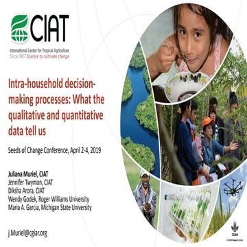 Intra-household decision-making processes: What the qualitative and quantitat...