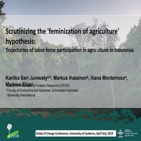 Scrutinizing the 'feminization of agriculture' hypothesis: trajectories of la...