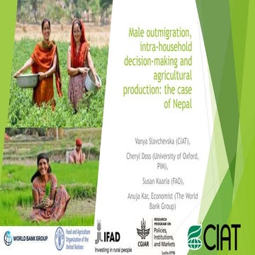 Male outmigration, intra-household decision-making and agricultural productio...