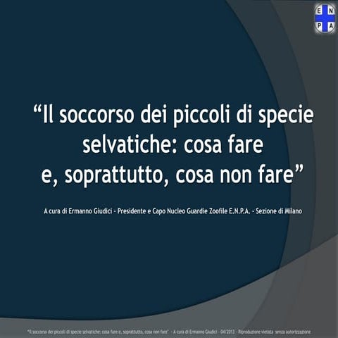 Soccorso piccoli specie selvatiche2