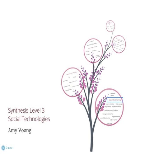 Synthesis -- Level 3 (social)