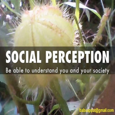 Social Perception, How do we form opinions on ourself and on others around