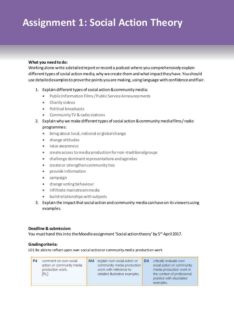 Social action theory (brief)