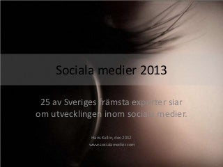 Sociala medier 2013