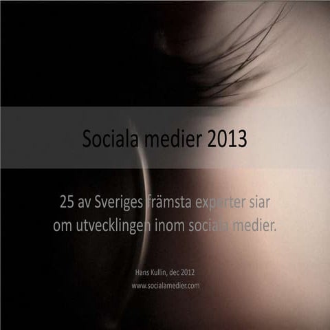 Sociala medier 2013