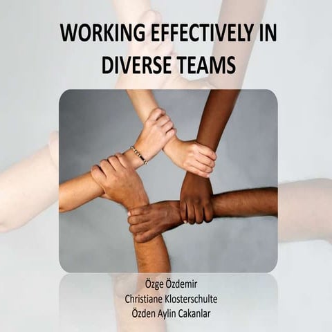Working Effectively in Diverse Teams