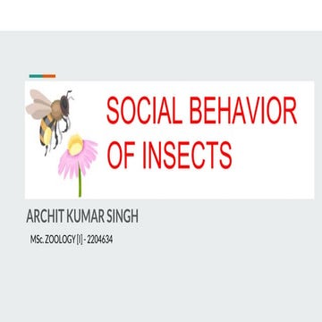 Social Behaviour of Insects - Archit KS@DEI.pptx