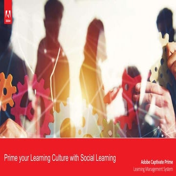 Prime your Learning Culture with Social Learning