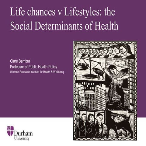 Social determinants labour plp