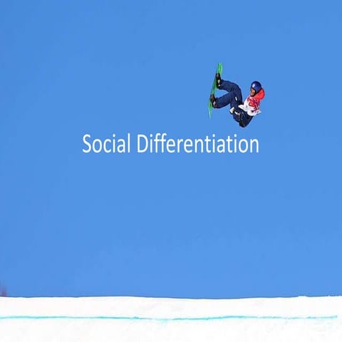 Social differentiation 2014