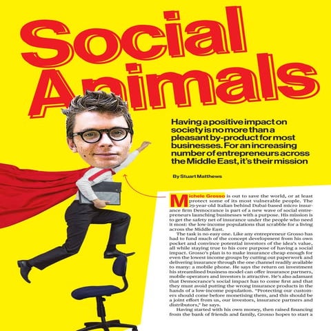 Social Animals - 