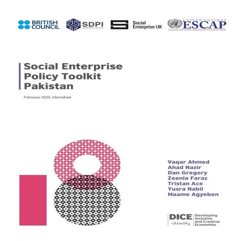 Social Enterprise Policy Toolkit Pakistan