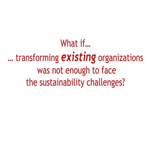 Socialentrepreneur.peer 2.0