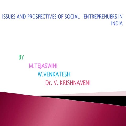 Social entrepreneur ppt 1122 (2)