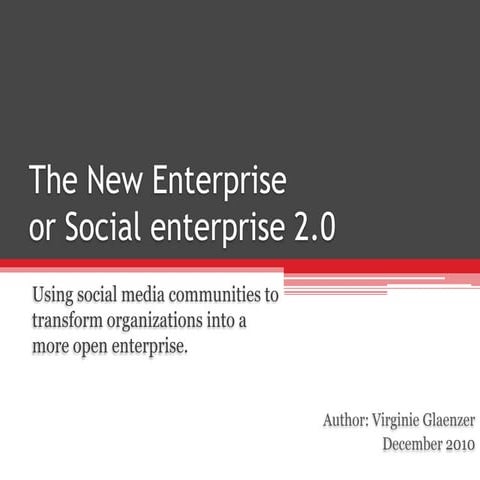 Social Entreprise 2.0 By V Glaenzer