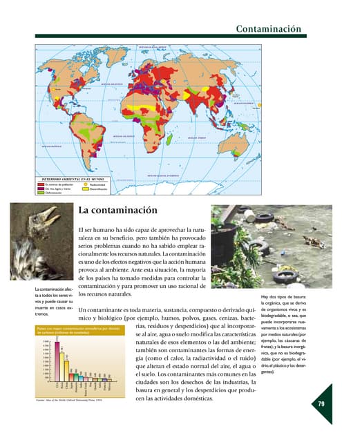 Contaminacion del medio ambiente power point | PPT