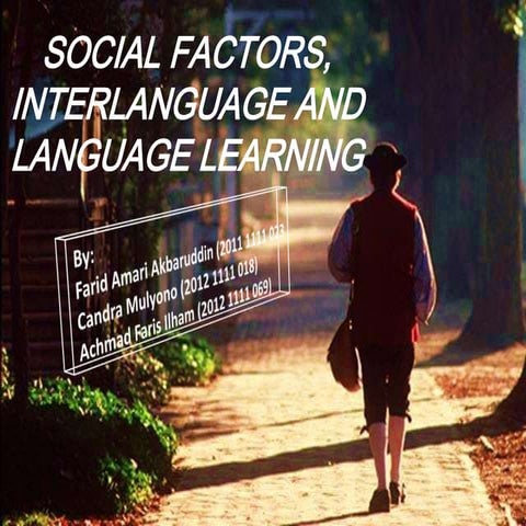 Social factors, interlanguage and language learning