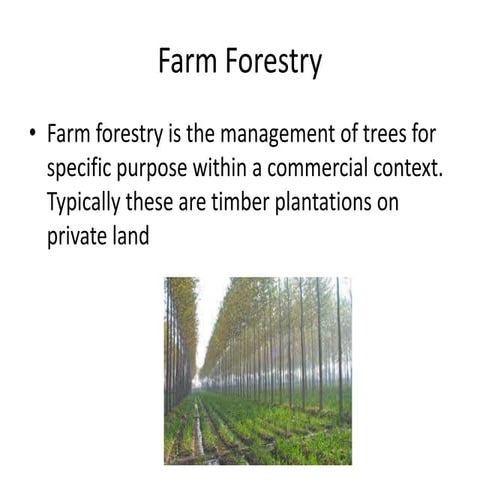 Social forestry