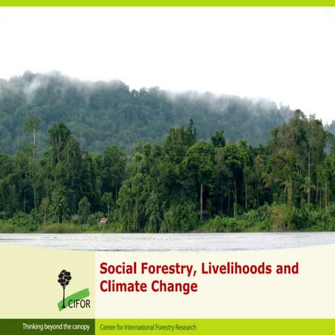Social Forestry, Livelihoods and Climate Change