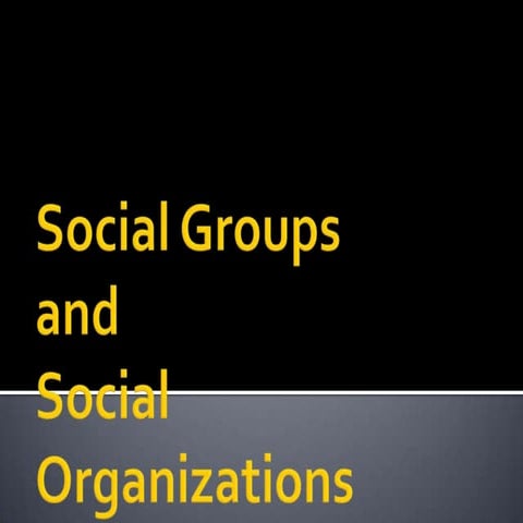 Social groups
