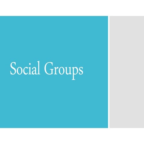 Social Groups in Society
