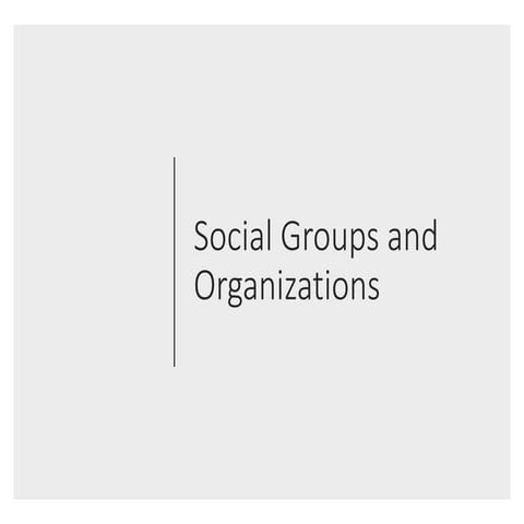 Social groups and organizations