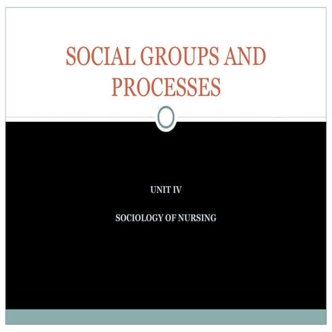 Social groups and processes