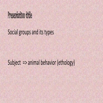 Social groups and types