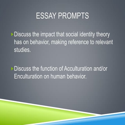 Social identity theory & MLK