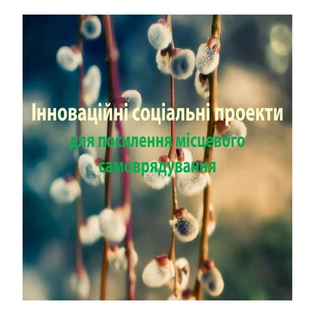 Social Innovation to Strengthen Local Development - Ukrainian version