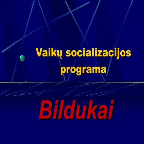 Socializacijos programa „Bildukai 2010“