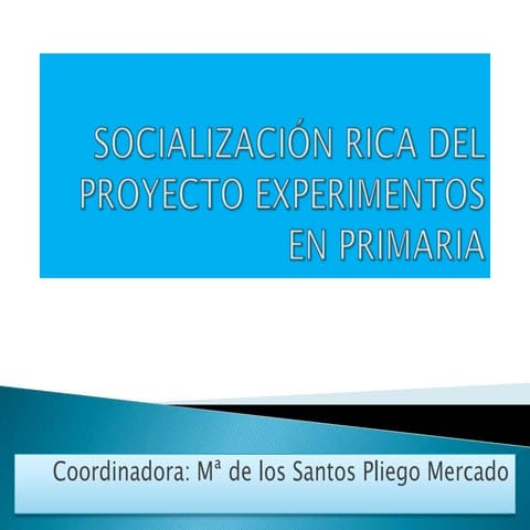 Socialización rica del Proyecto Experimentos en Primaria