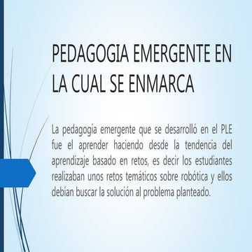 Socializacion del ple