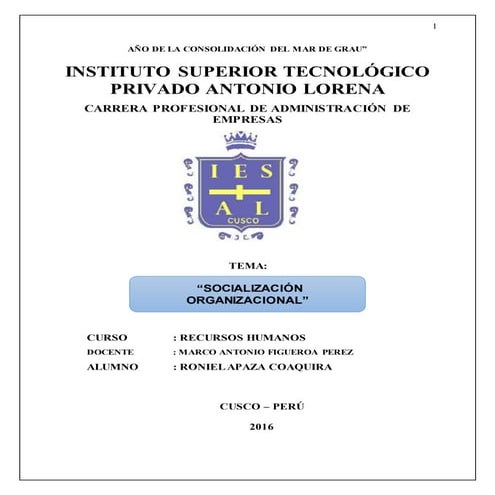 Socializacion organizacional