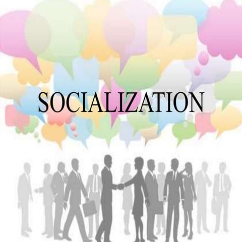 Socialization
