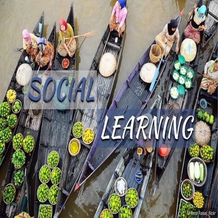 Social Learning