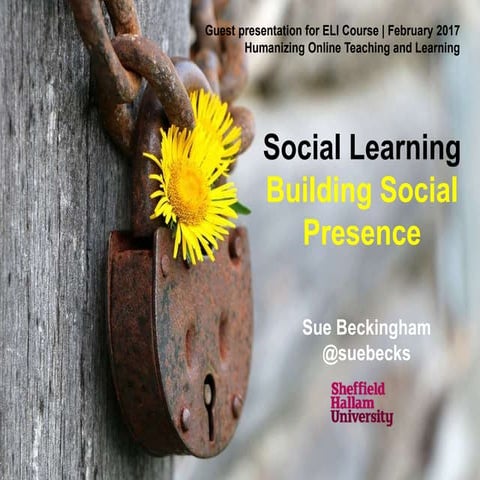 Social learning and online presence