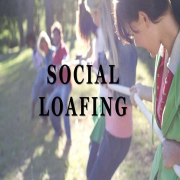 Social Loafing 