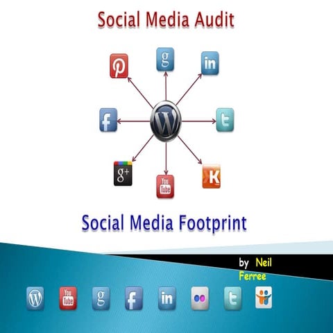 Social Media Audit 2013