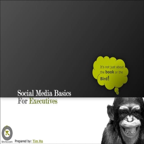 Social Media Basics For Executives