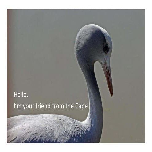 Social media for DMOs 9 7-12 Martin Hatchuel