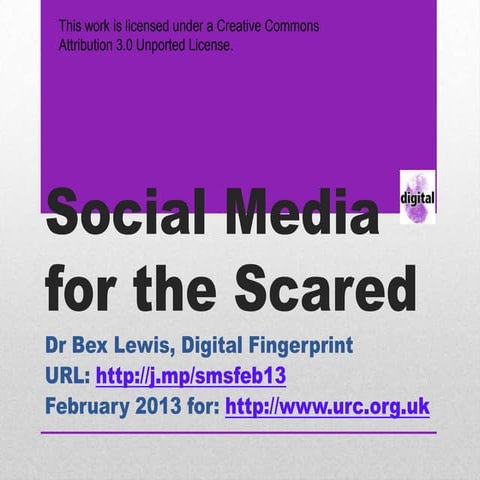 Social media for the scared february 2013