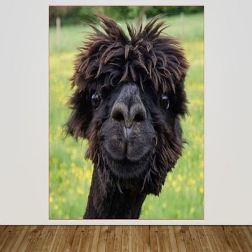 Psychology Presentation On Social Media influence