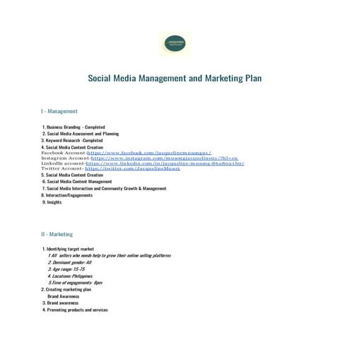 Smm plan | PDF