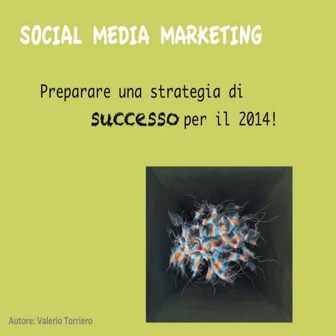 Social Media Marketing 2014