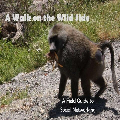A Walk on the Wild Side: A Field Guide to Social Networking